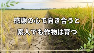 素人がプロに勝る?自然栽培と感謝の力