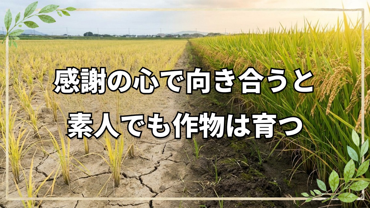 素人がプロに勝る？自然栽培と感謝の力