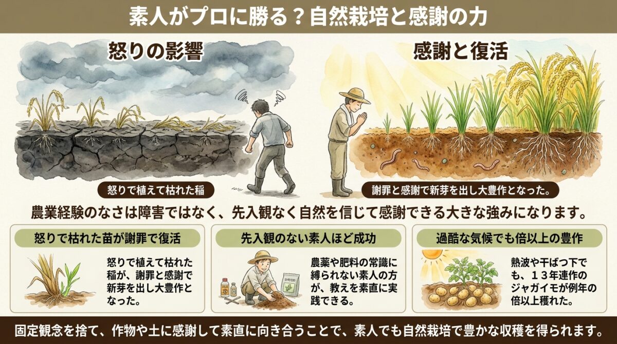 素人がプロに勝る?自然栽培と感謝の力