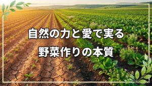 自然栽培20年で学んだ野菜作りの本質