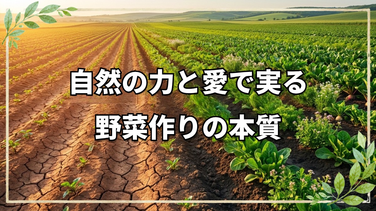 自然栽培20年で学んだ野菜作りの本質