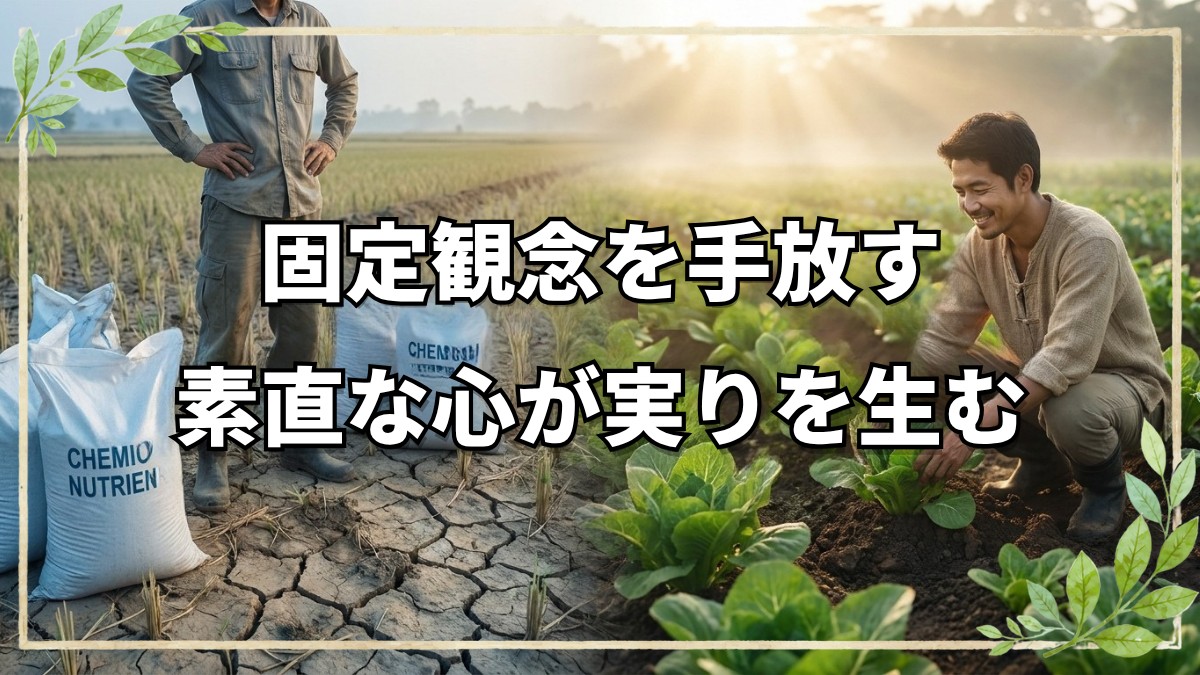 素人が自然農法で成功できる理由