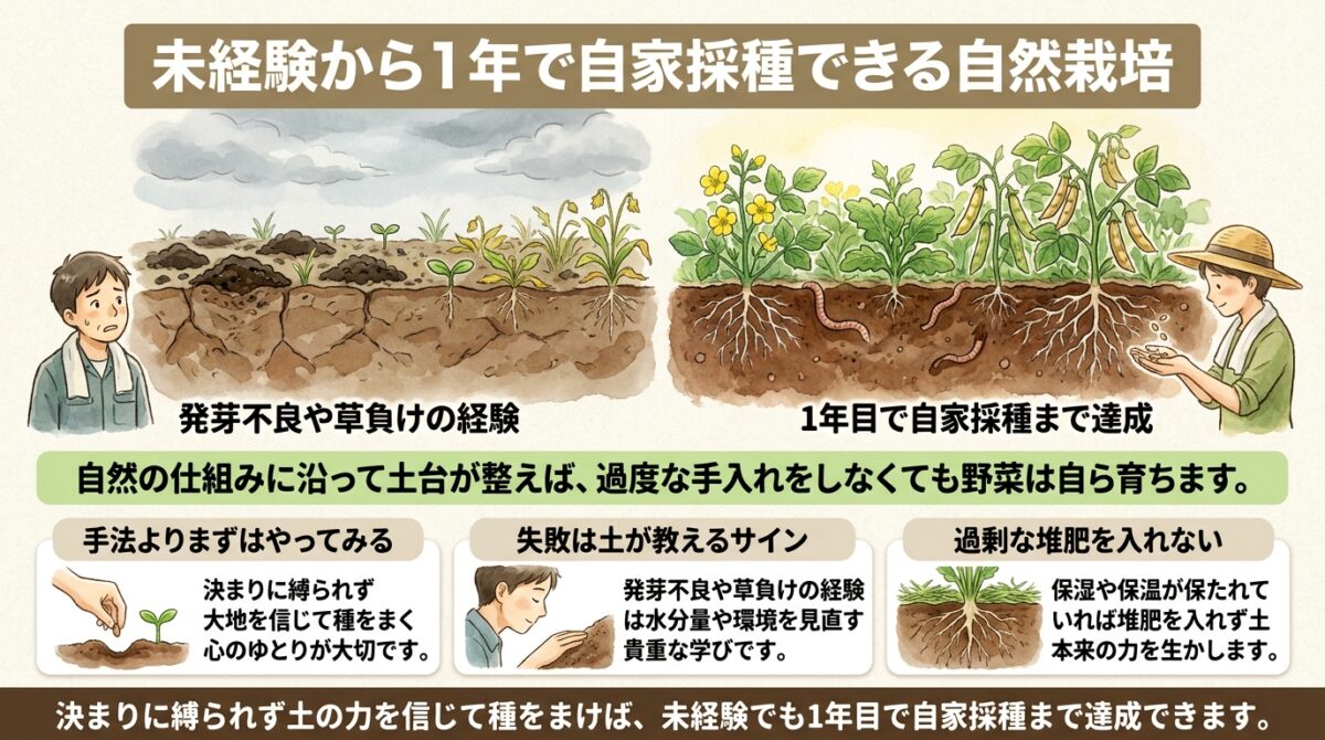 未経験から1年で自家採種できる自然栽培