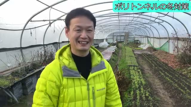 4. 初心者がプランターから始めるおすすめ野菜
