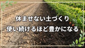 自然農法・土づくりの実践と本質