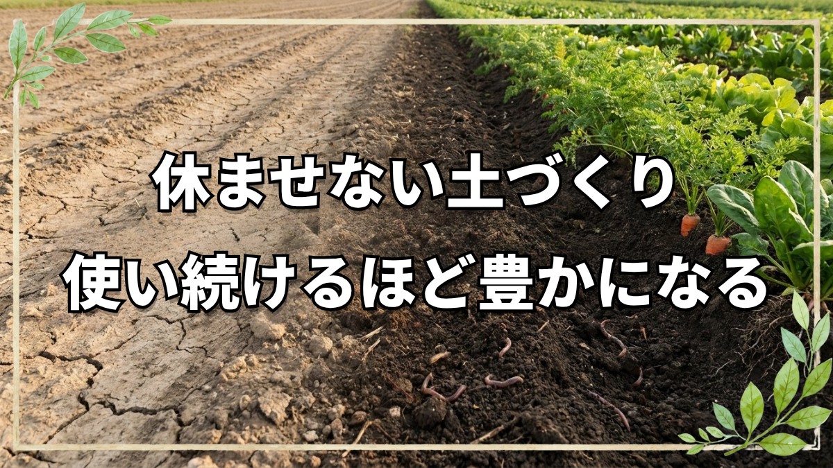 自然農法・土づくりの実践と本質