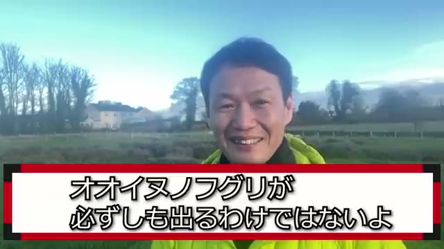 雨のあとに定植してもいい?判断基準は「土の感触」