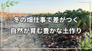 冬の自然農法:種取り・堆肥・草の観察