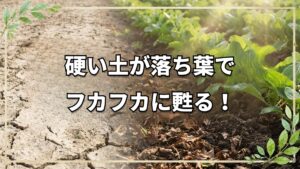 硬い土を再生!床堆肥の正しい作り方