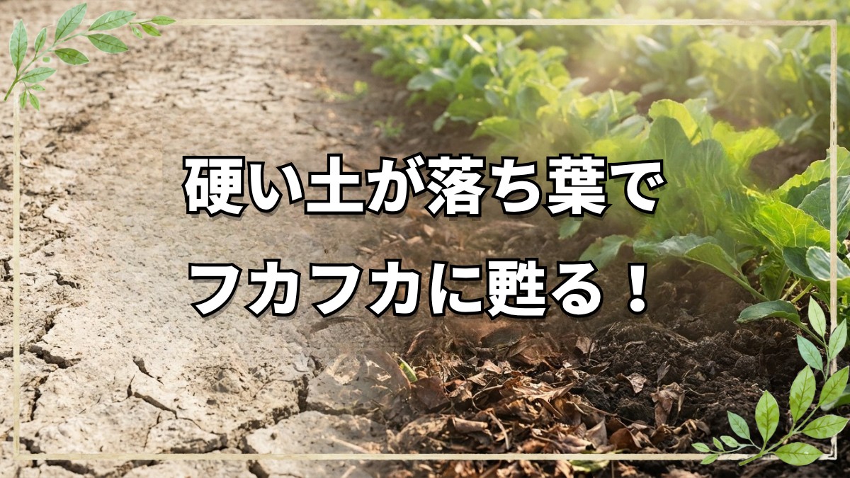 硬い土を再生！床堆肥の正しい作り方
