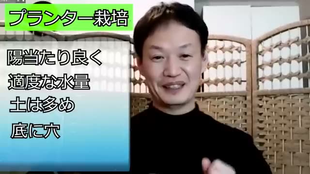 6. プランターや鉢植えで自然栽培を成功させるポイント