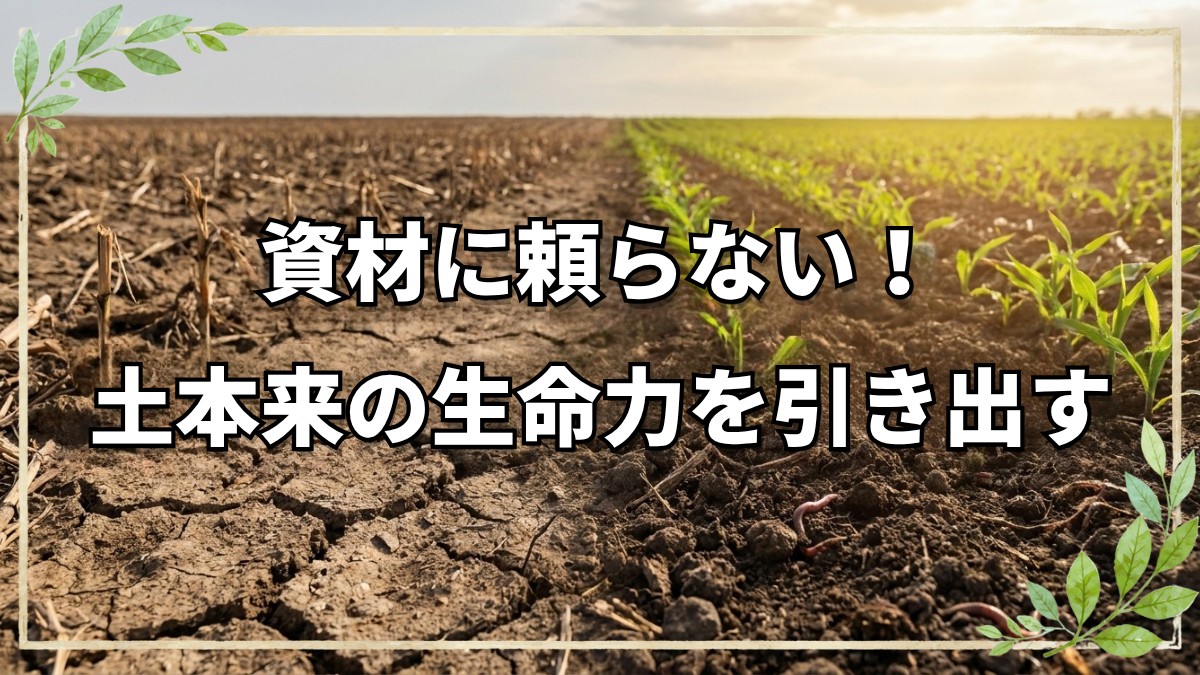 自然栽培Q&A 土と苗の基本