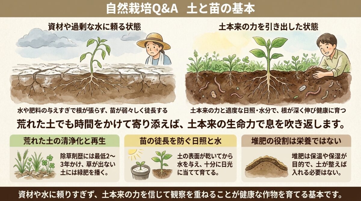 自然栽培Q&A 土と苗の基本
