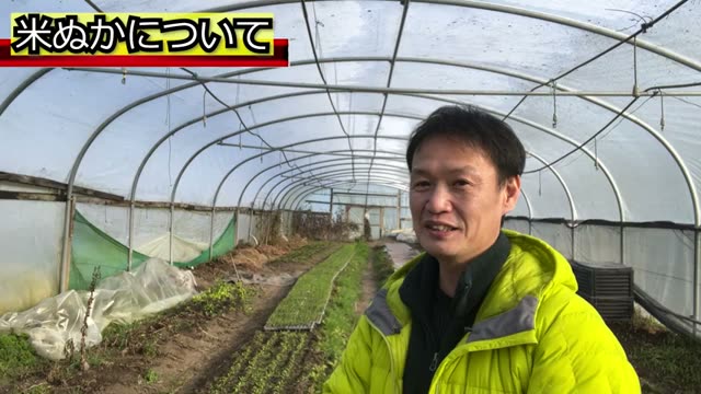 畑に米ぬかや海藻を入れない理由