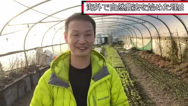 自然農法を海外で広めようとした経緯