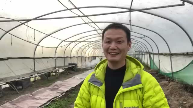 1. 成功の要となる「種イモ」の選び方と準備