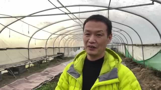 2. おおらかな植え付けと「土の力」を信じる姿勢