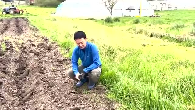 3. 収穫量を伸ばす最大の技術「土寄せ」