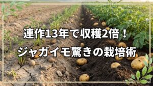 連作13年で収穫2倍!ジャガイモ栽培術