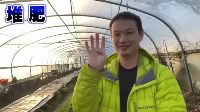 堆肥は「土の栄養」ではない?知っておくべき3つの役割