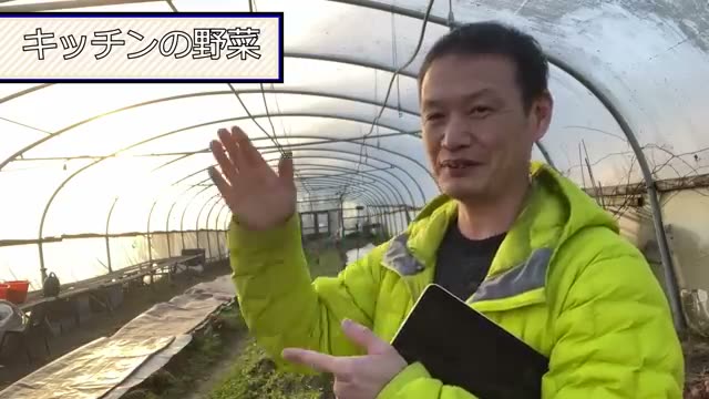 台所の野菜クズ・コンポストは畑に入れていいのか?