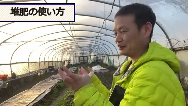 堆肥を少量で活かす「スポット使い」の工夫