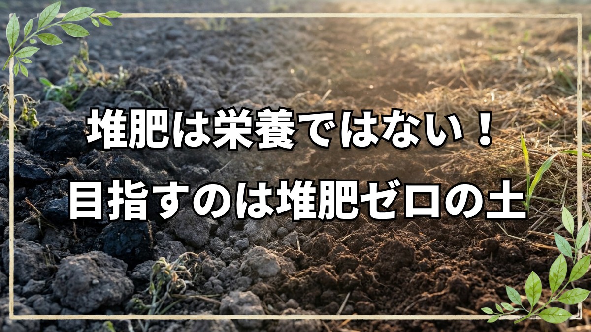 堆肥は栄養ではない！本来の役割と使い方