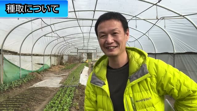 自家採種した種をカビさせない保存の極意