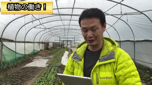 植物はお互いに助け合っている──自然の防衛力とネットワーク