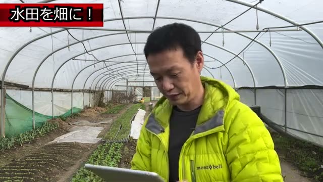 砂地や元田んぼで野菜を育てる工夫