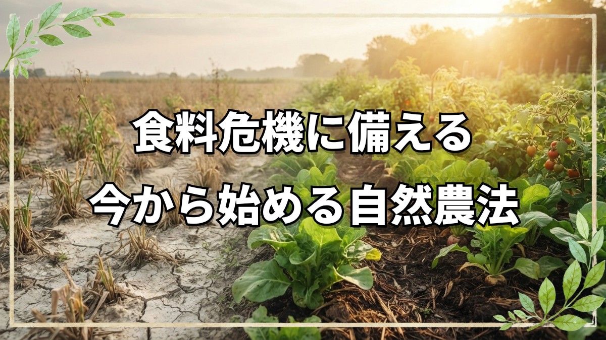 日本の食料危機と自然農法の可能性