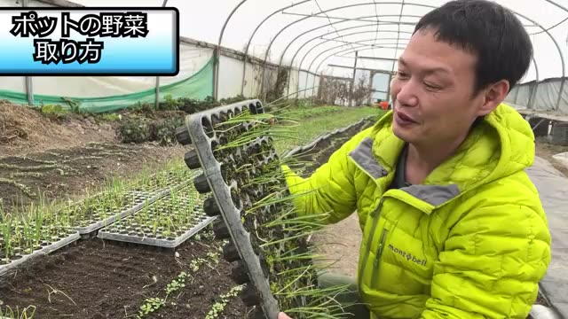 2. 苗を傷めないポットからの取り出し方