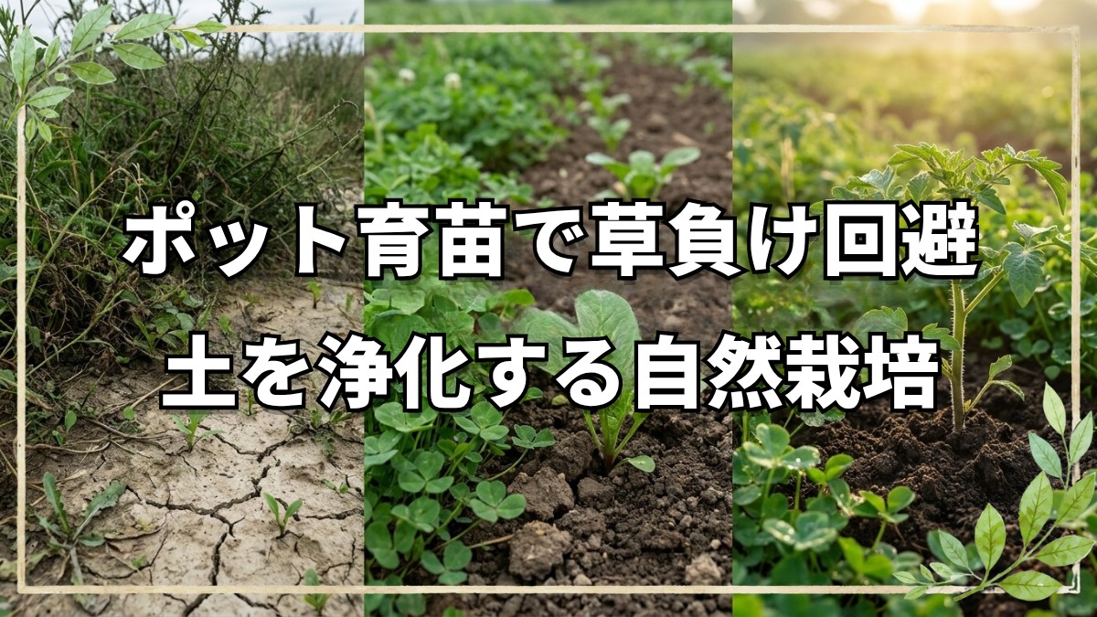 草負けを防ぐ苗作りと土の肥毒浄化法
