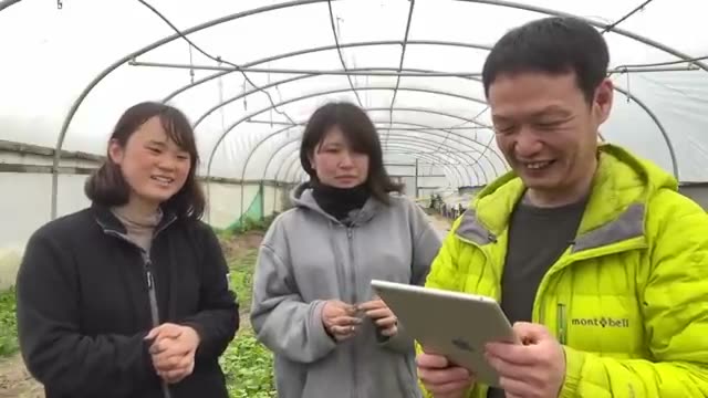 草マルチの下にいるダンゴムシへの向き合い方