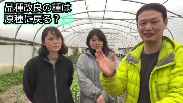 自家採種で種はどう変わるのか