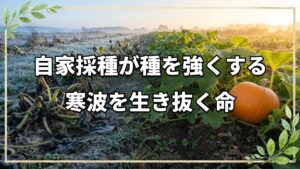 自家採種が種を強くする自然栽培の知恵