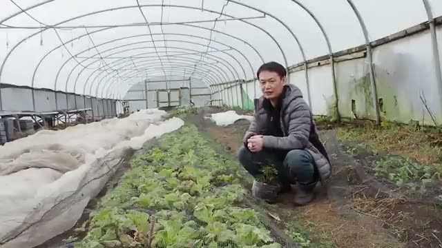 耕し続けて10年、土壌検査で判明した微生物と栄養の事実