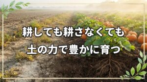 自然農法で土は耕すべき?22年の実践から見えた土壌と栽培の真実