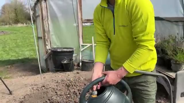 定植後の管理と日中の水やり