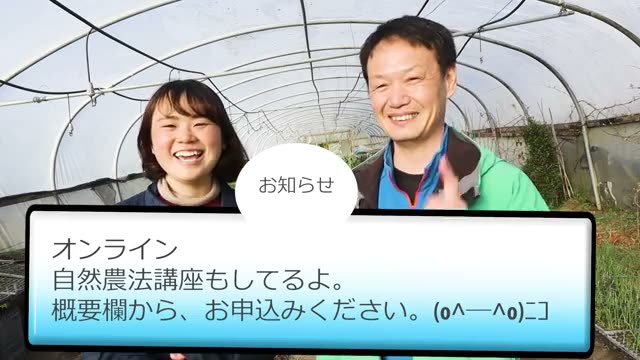 1. 草マルチがもたらす3つの大きなメリット