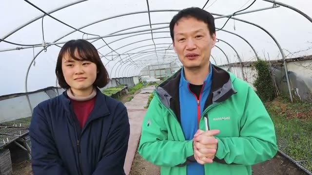 3. 失敗を防ぐための注意点と現場の知恵