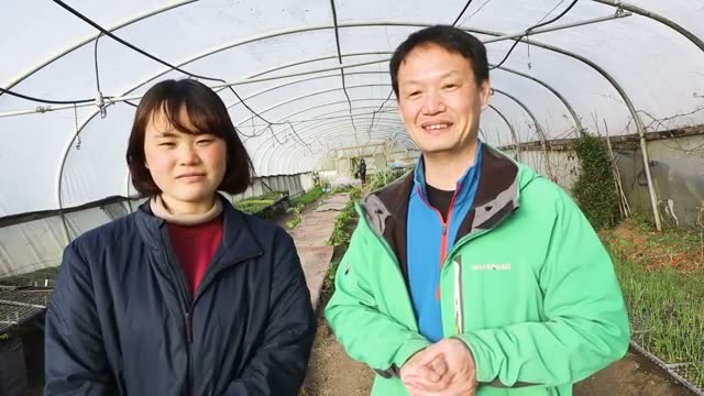 2. 自然栽培の根本視点:土に「栄養」を与える必要はない