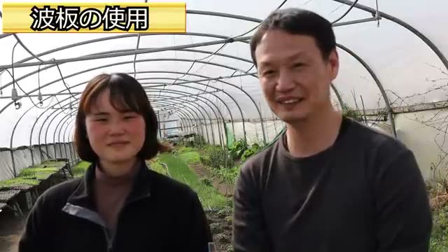 長根作物の栽培で波板を使うことの是非