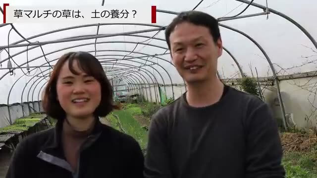 草マルチの役割と土に対する考え方