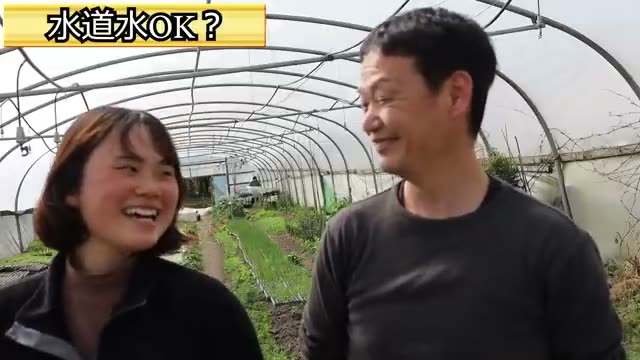 ジャガイモの水やりと水道水への向き合い方