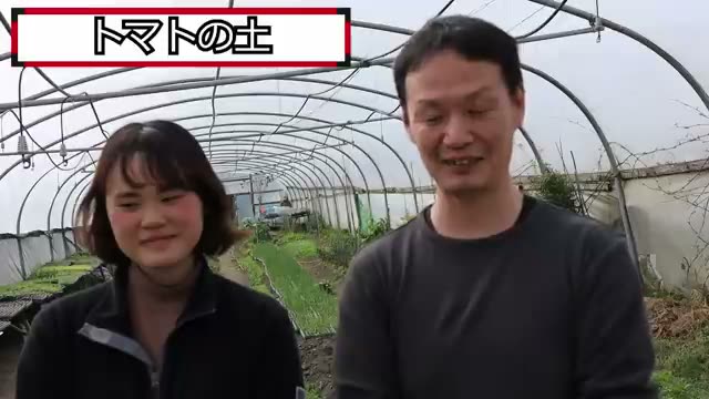 トマトに適した土の選び方
