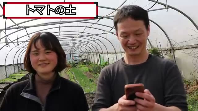 カボチャの仕立て方と根菜類の連作