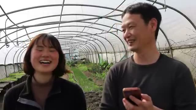 水がたまる畑での栽培アプローチ