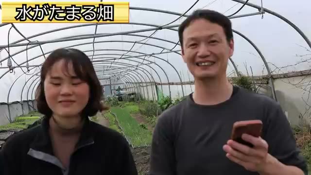 混植（コンパニオンプランツ）への見解
