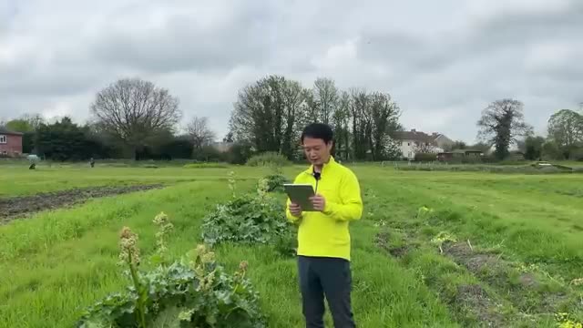1. 現場の疑問に答える栽培管理の基本(水やり・草マルチ)